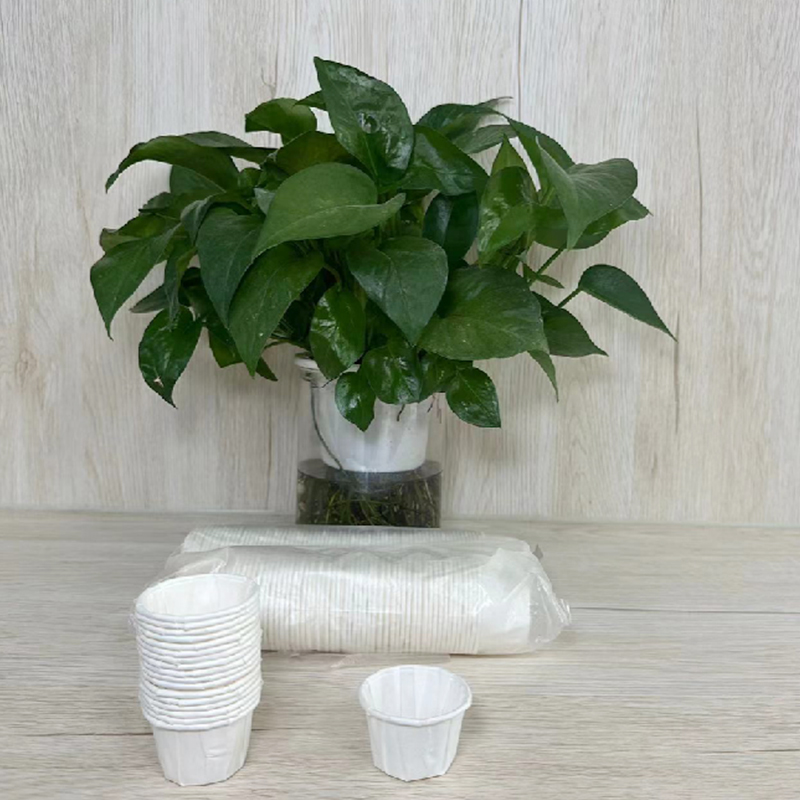 Tasse en papier écologique